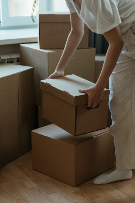 A man and a woman inside a well-lit room are in the process of home relocation, holding cardboard boxes and a large decorative vase with green tropical leaves. The man is wearing a maroon t-shirt and 